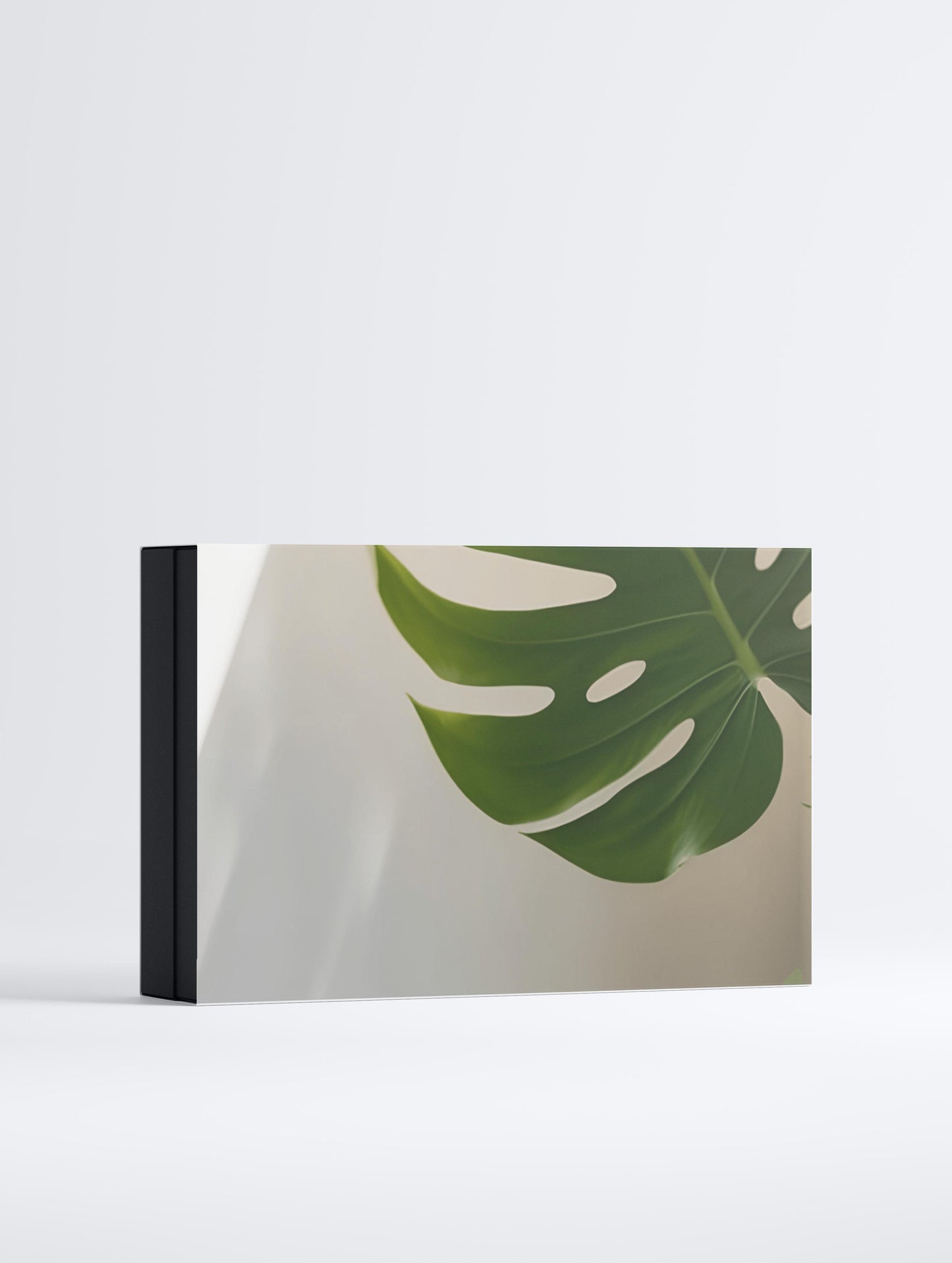 The Ultimate Renewal Collection Box