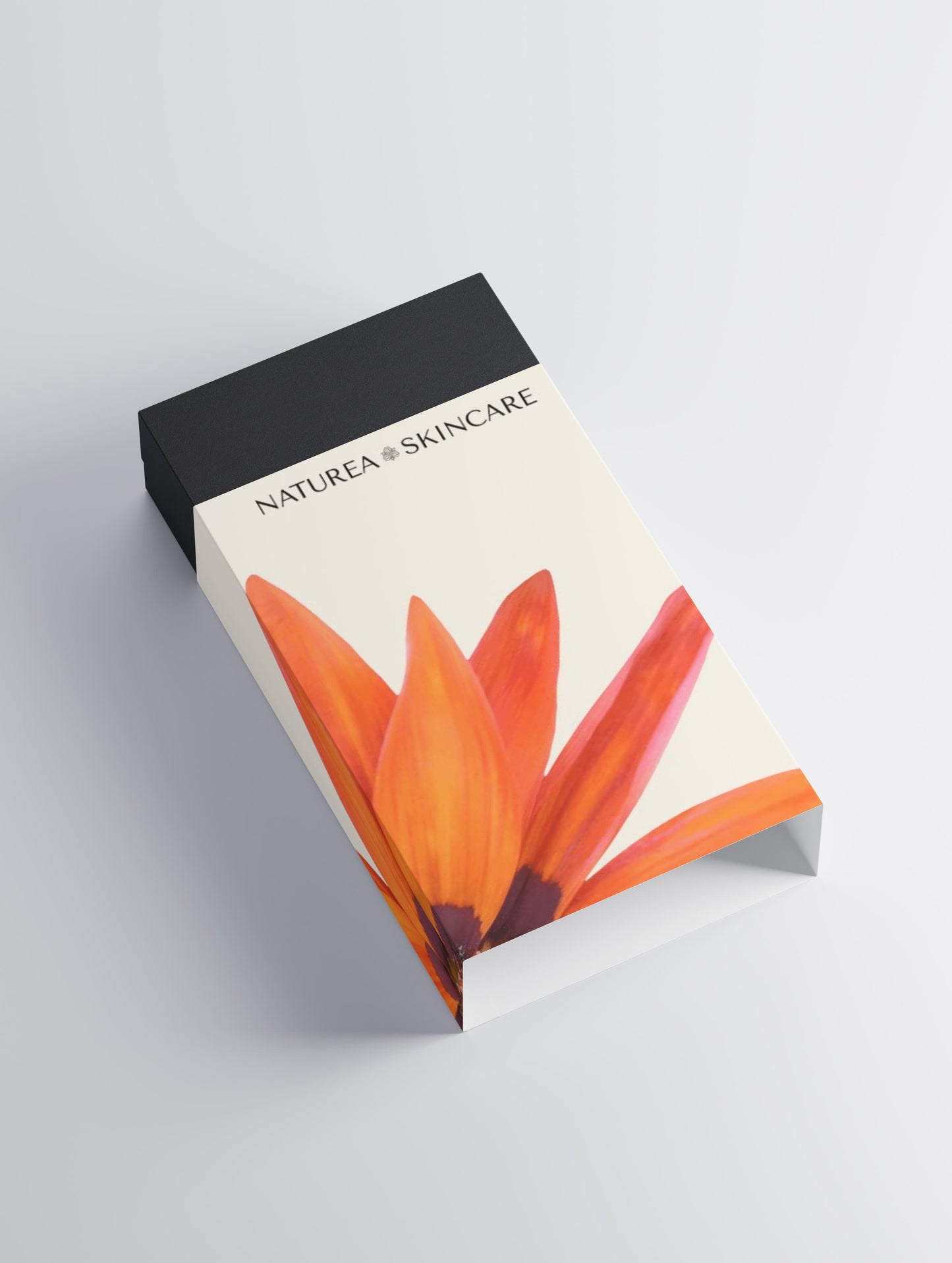 Timeless Radiance Collection Box
